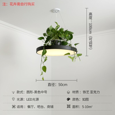 北欧植物小吊灯