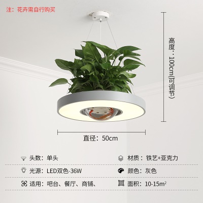北欧植物餐吊灯