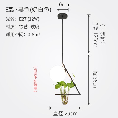 北欧植物小吊灯