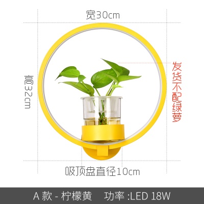北欧植物壁灯