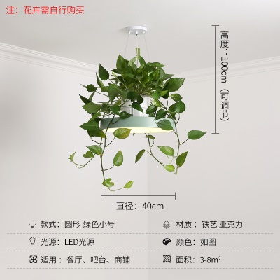 北欧植物小吊灯