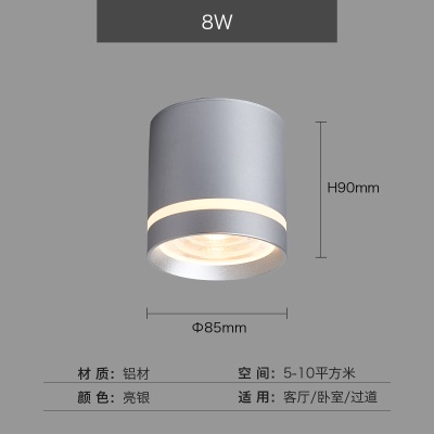 明装中亮筒灯NS-B145