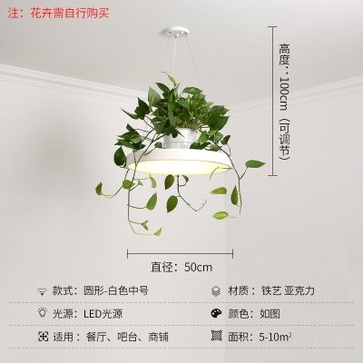 北欧植物小吊灯