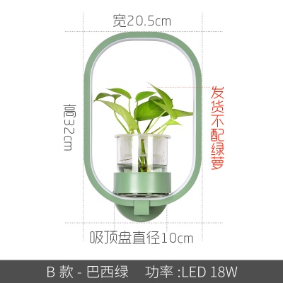 北欧植物壁灯