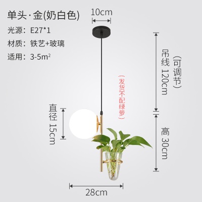 北欧植物小吊灯