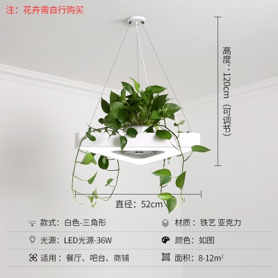 北欧植物小吊灯