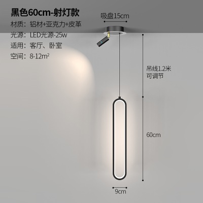 北欧现代单吊灯NS-3053