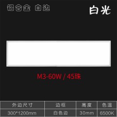 工程款办公室平板灯WK-M3白银系列