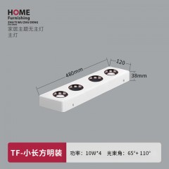 无主灯明装款WD-TFDY明装