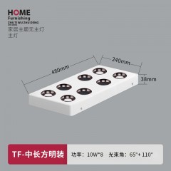无主灯明装款WD-TFDY明装