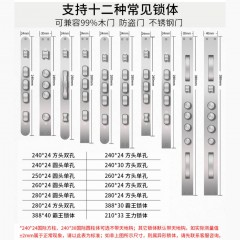 智能不锈钢锁体LS-6068
